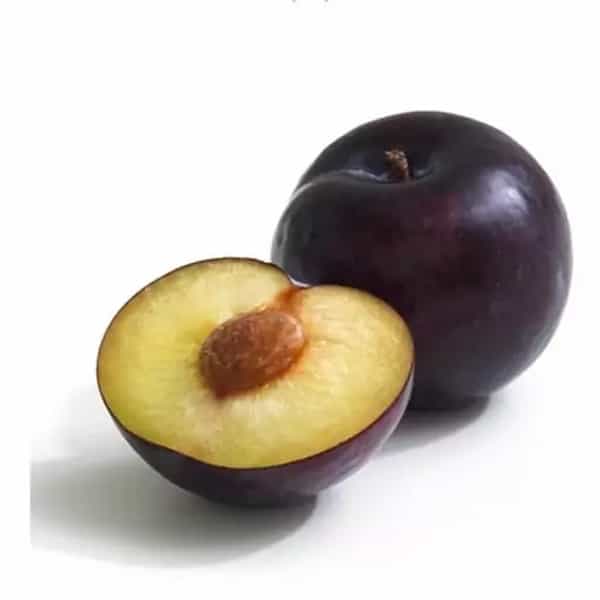 تصویر 4 از خرید و قیمت آلو جنگلی سیاه + فروش عمده